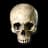 Flawless Skull