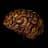 Khalim's Brain