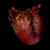 Khalim's Heart