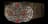 Plated Belt