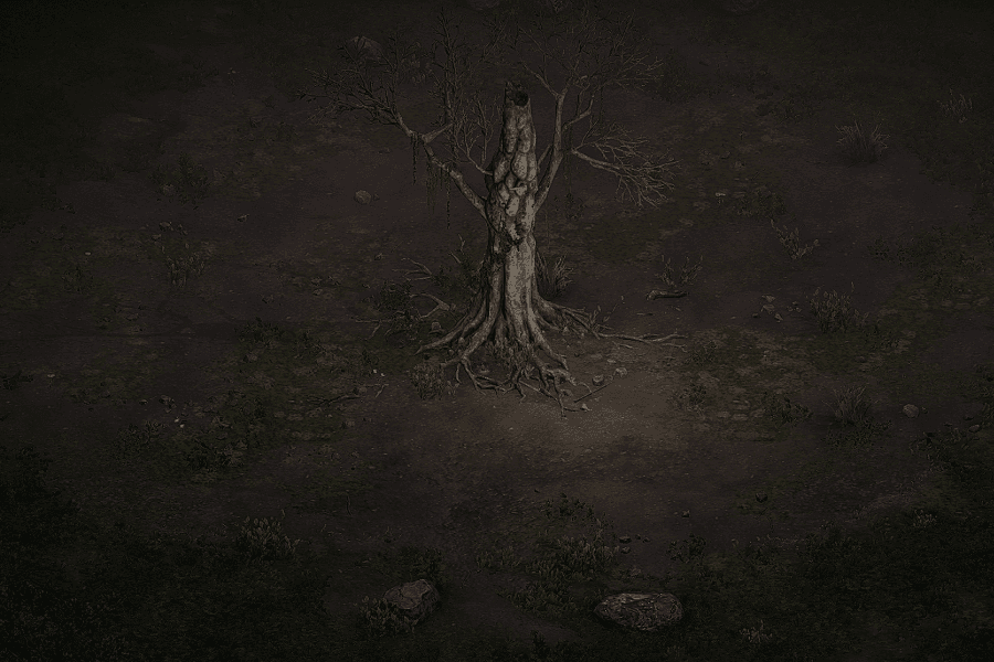 Dark Wood