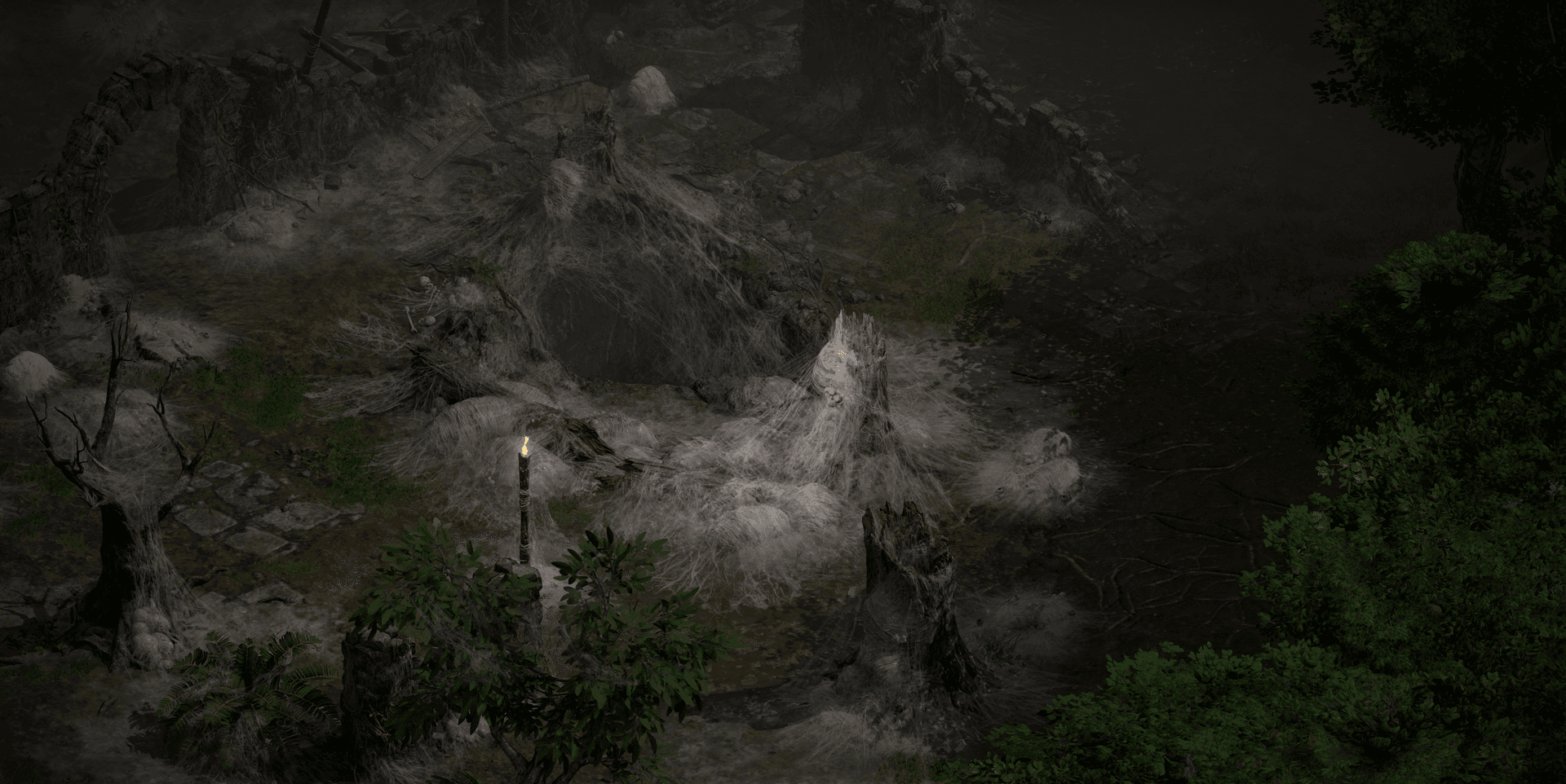 Spider Forest