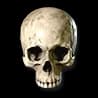 Flawless Skull