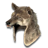 low quality Wolf Head