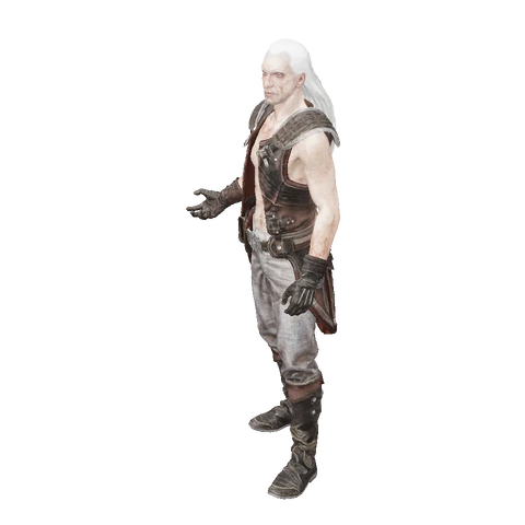 Necromancer idle animation