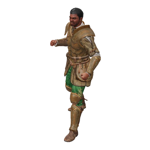 Paladin idle animation