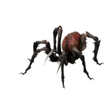 Arach using Spider Lay