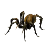 Sand Fisher Attack 1 animation