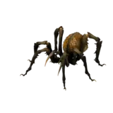 Sand Fisher using Spider Lay
