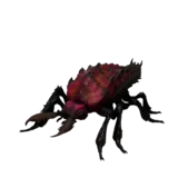 Devourer Young Attack 1 animation