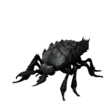 Blood Maggot Young Attack 1 animation