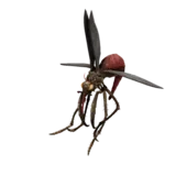 Feeder Attack 1 animation