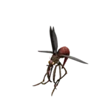 Mosquito animation