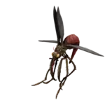 Blood Wing Attack 1 animation
