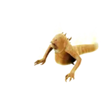 Pain Worm Attack 1 animation