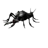 Rock Worm using Magott Lay
