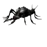 Rock Worm using Magott Down