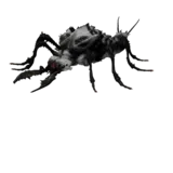 Blood Maggot using Magott Down