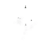 Swarm Move animation
