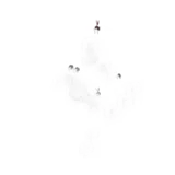 Swarm Move animation