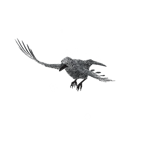 Raven, summoned by Raven
