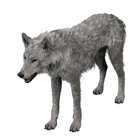 Dire Wolf, summoned by Summon Dire Wolf