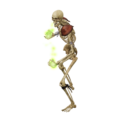 Skeletal Mage, summoned by Raise Skeletal Mage