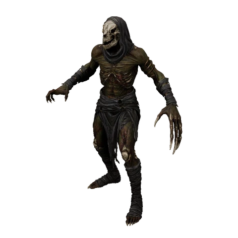 Radament idle animation