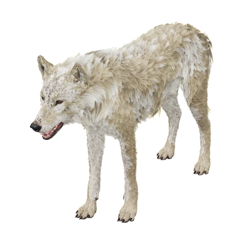 Dire Wolf, summoned by Summon Dire Wolf