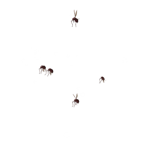 Swarm idle animation
