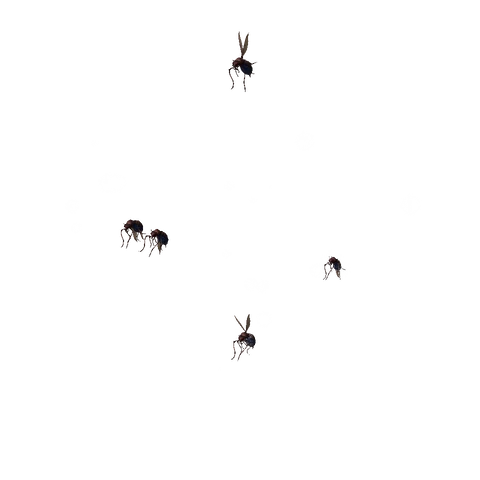 Black Locusts idle animation