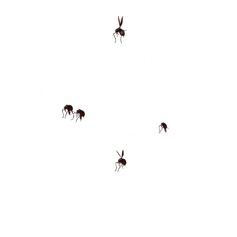 Hell Swarm idle animation