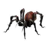 Arach idle animation