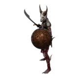 Dark Hunter idle animation