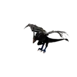 Black Raptor idle animation