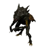 Bone Scarab idle animation