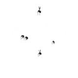 Itchies idle animation